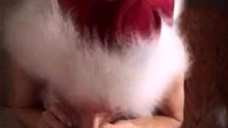 Heather dans le sperme d'hirondelle de Noël