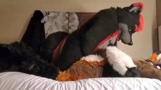Furry Fucking from Behind