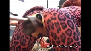 Animergamergirl Gets Fucked By Vibe At Realpornsexcams.com