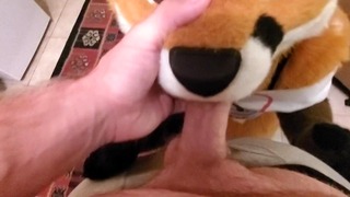 Furry Fox cuida de um pau humano