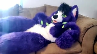 A Little Alone Time – Solo Fursuit Petting And Rubbing – Solo Female – Low Volume