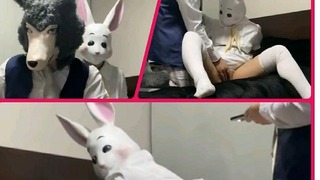 Legoshi X Haru Sex Beastars, Bizarre Furrys Porn Part I