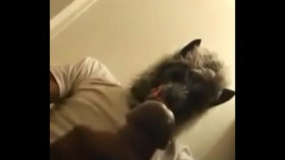 Masked Up Dicking