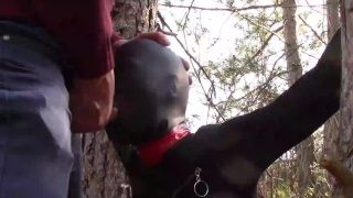 Tied To A Tree On A Sexy Outfit, Masked And Outdoor Deepthroat With No Mercy