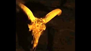 Aleksandra Cwen Masturbating And Moaning Hard Until Climax In The Germany Post-Horror Film “Hagazussa”