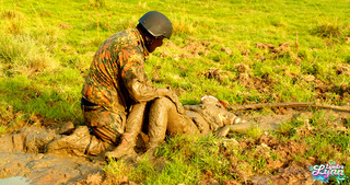Lara Croft fucked in mud – Full Video