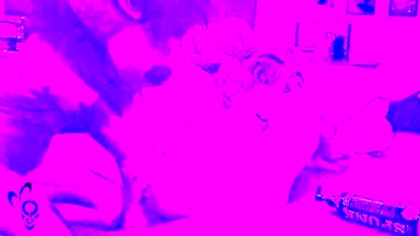 This Thick Bunny Bitch Gets Fisted by his Girlfriend