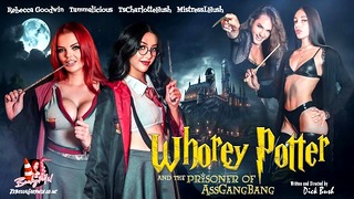 Whorey Potter And The Prisoner Of Assgangbang – Rebecca Goodwin